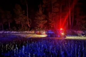 Muğla’da çıkan orman yangını kısa sürede kontrol altına alındı