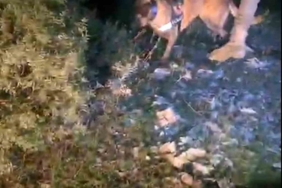 Muğla’da piyasa değeri 4 milyon TL olan uyuşturucu ele geçirildi