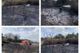 Muğla’da üzüm bağları alevlere teslim oldu