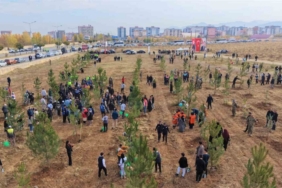 Muş’ta 20 bin fidan toprakla buluşturuldu