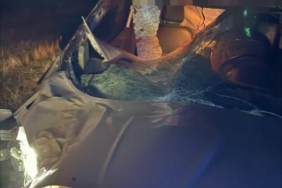 Muş’ta hafif ticari araç ata çarptı: 2 yaralı