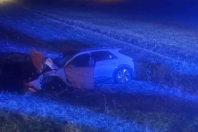 Muş’ta otomobil yola çıkan ineğe çarptı