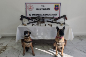 Muş’ta ruhsatsız 3 uzun namlulu silah ele geçirildi