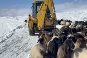 Muş’ta yoğun kar yağışı