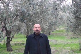 Mut’da bu yıl 120 bin ton zeytin rekoltesi bekleniyor