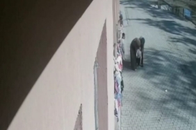 Öğrencisinin boğazına kaçan şekeri heimlich manevrasıyla çıkardı