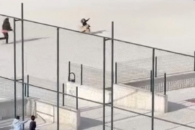 Okul bahçesine giren köpek çocuklara büyük panik yaşattı: O anlar kameraya yansıdı