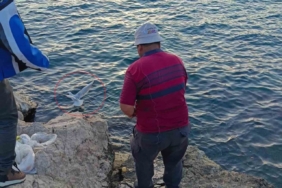 Oltaya bu kez balık yerine martı takıldı