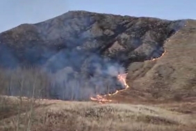 Oltu’da örtü yangını korkuttu