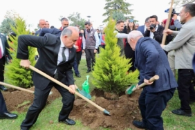 Ordu’da 350 bin fidan toprakla buluşturulacak