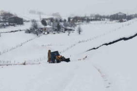 Ordu’da karla mücadele çalışmaları