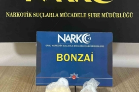 Ordu’da uyuşturucu operasyonları: 5 tutuklama