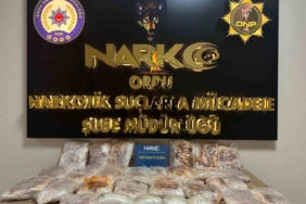 Ordu’da uyuşturucu operasyonlarında 2 tutuklama