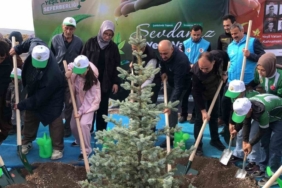 Orman şehidi Eyüp Dereli adına oluşturulan alana 15 bin fidan dikildi