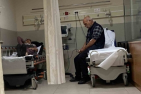 Ormandaki mantarları yiyen 7 kişi hastanelik oldu