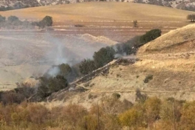 Ormanlık alanda korkutan yangın