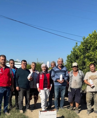 Ortaca’da narenciye bahçelerinde zararlılara karşı mücadele  sürüyor