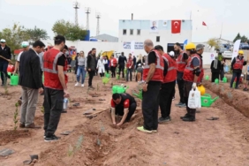 Osmaniye’de 11 Kasım Milli Ağaçlandırma Günü’nde fidanlar toprakla buluştu