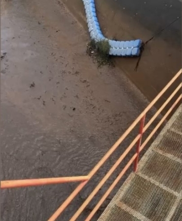 Osmaniye’de baraj kapakları açıldı, yüzlerce balık telef oldu