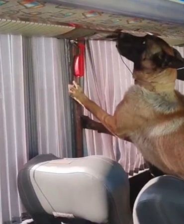 Otobüs bagajında skunk düzeneği: 8 kilo zehir ele geçirildi