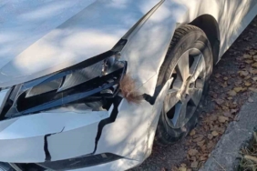 Otomobil ayıya çarptı