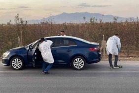 Otomobilin çarptığı yaşlı kadın hayatını kaybetti