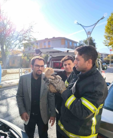Otomobilin motor kısmına sıkışan yavru kedi itfaiye ekiplerince kurtarıldı