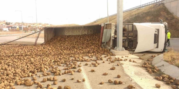 Pancar yüklü kamyon devrildi