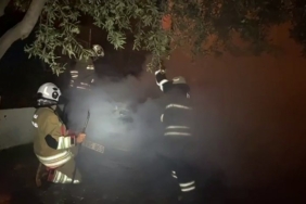 Park halindeki otomobil alevlere teslim oldu