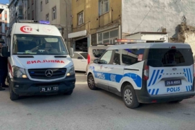 Parkta taşkınlık kavgası: 1 yaralı