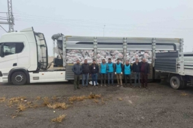 Patnos’ta on bin haneye kömür desteği