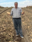 Patnos’ta patates hasadı tamamlandı: 500 Dönüm araziden  bin 650 ton ürün elde edildi