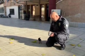 Polis memuru ile saka kuşunun dostluğu görenleri hayrete düşürdü