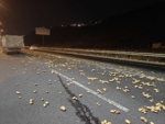 Rampa aşağı inen tır makasladı, onlarca kilo patates yola saçıldı