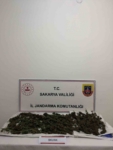 Sakarya’da uyuşturucu operasyonu: 1 tutuklama