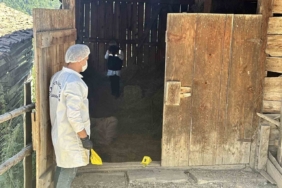 Samanlıkta işlenen cinayetle ilgili yargılama devam etti