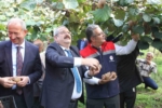 Samsun’da ‘2025 Yılı Kivi Hasat Etkinliği’