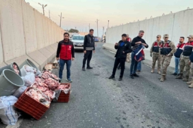 Şanlıurfa’da 1 ton kaçak et ele geçirildi