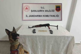 Şanlıurfa’da ruhsatsız silah operasyonu