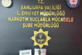 Şanlıurfa’da uyuşturucu operasyonu: 1 tutuklama