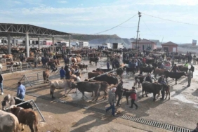 Şap tehlikesi nedeniyle kapatılmıştı, Sorgun Hayvan Pazarı 5 ay sonra yeniden açıldı