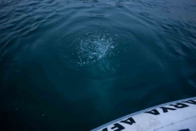 Sapanca Gölü’ndeki kabarcıkların verdiği endişe artıyor: "Herkes korkuyor, rahat uyuyamıyoruz"