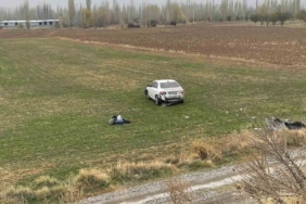 Şarampole giren otomobil sürücüsü yaralandı