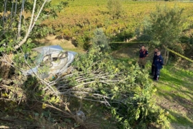 Sarıgöl’de trafik kazası: 1 ölü