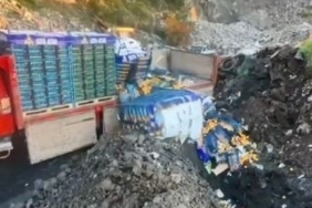 Sarp Sınır Kapısı’nda 6 ton mandalina imha edildi: Zirai ilaç kalıntısı tespit edildi