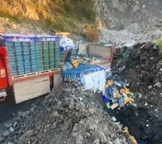 Sarp Sınır Kapısı’nda 6 ton mandalina imha edildi: Zirai ilaç kalıntısı tespit edildi