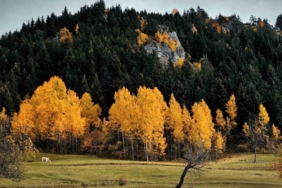 Şavşat’tan kartpostallık manzaralar