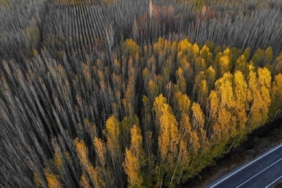Savur, doğal güzelliğiyle ziyaretçileri mest ediyor