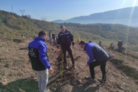 SEDAŞ, 4 ilde 500 fidanı toprakla buluşturdu