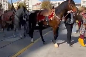 Şehir merkezinde gezdirilen atlar vatandaşları meraklandı